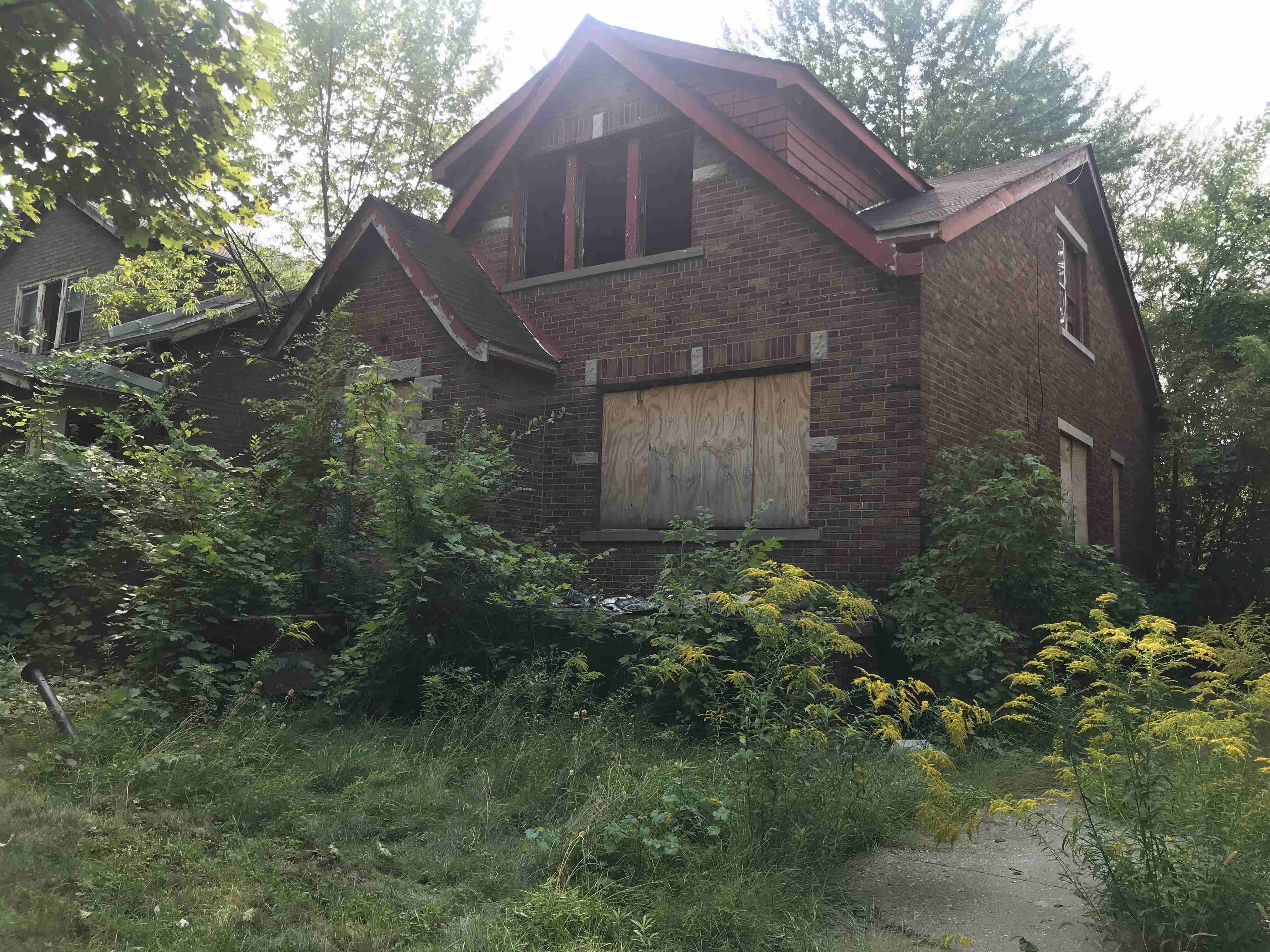 Photo Sep 15, 3 24 26 PM (1).jpg